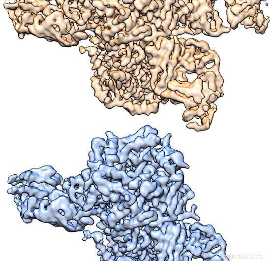 New Cryo-EM Structures of Nicotine Receptor Reveal Promising Avenues for Addiction Therapy
