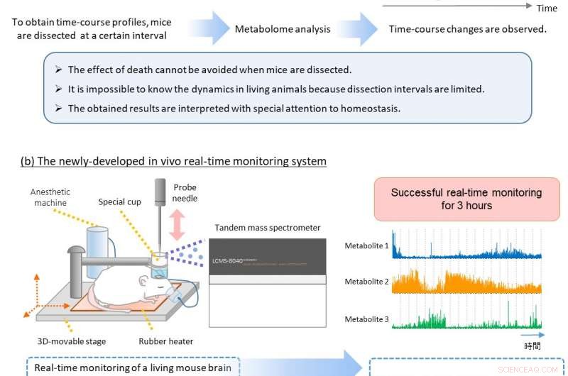 Real-Time Insight into Brain Biochemistry Now Possible