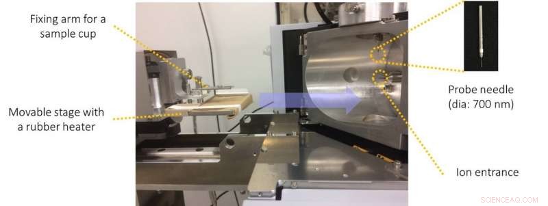 Real-Time Insight into Brain Biochemistry Now Possible