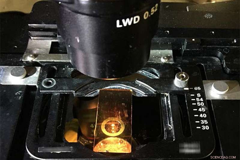 Revolutionary Glass Slide Transforms Microscopes into Precise Thermometers