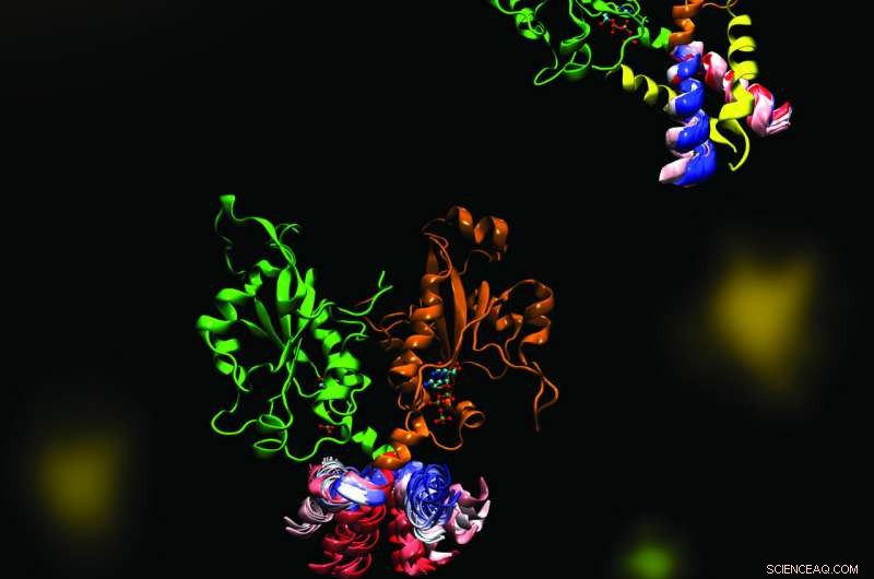 CCT s Role in Phospholipid Synthesis: An Intricate Molecular Dance