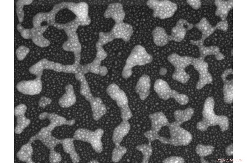 Advanced Chemical Sensing Chip Detects Cocaine in Minutes