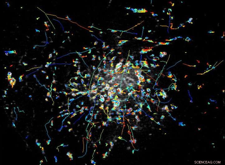 Revolutionary Merged Microscope Delivers Unprecedented Insight into Biological Processes