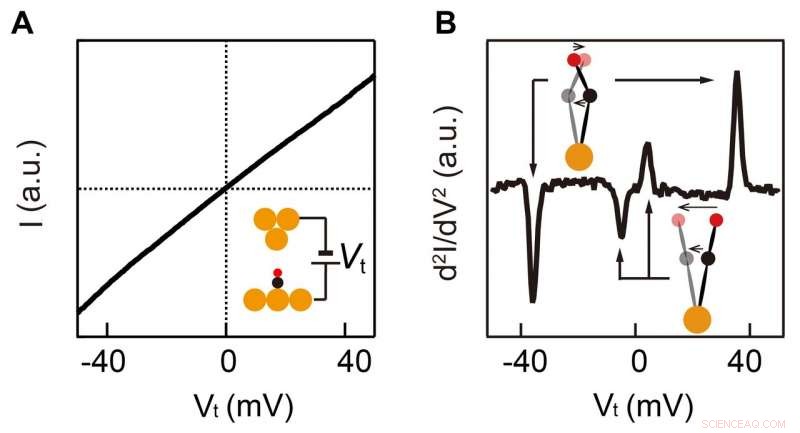 Deciphering Vibrational Energy of a Single Molecule in an External Force Field