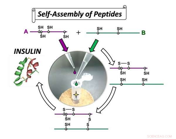 Revolutionary High‑Efficiency Insulin Synthesis Using Self‑Assembly Organic Chemistry