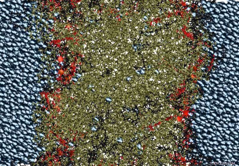 Scientists Develop Miniature Resealable Packets for On-Demand Material Delivery