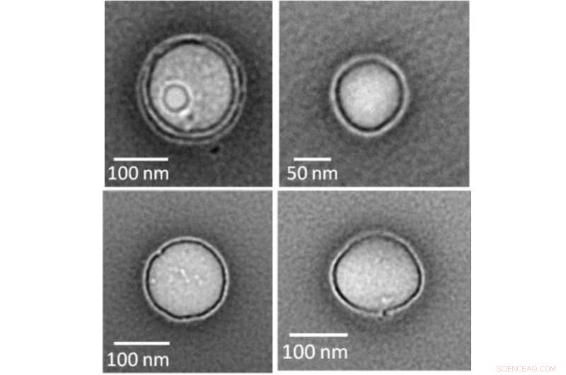 Scientists Develop Miniature Resealable Packets for On-Demand Material Delivery
