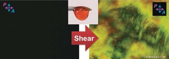 Supercharged Biomacromolecules Preserve Reordered Structures Triggered by Fingertip Touch