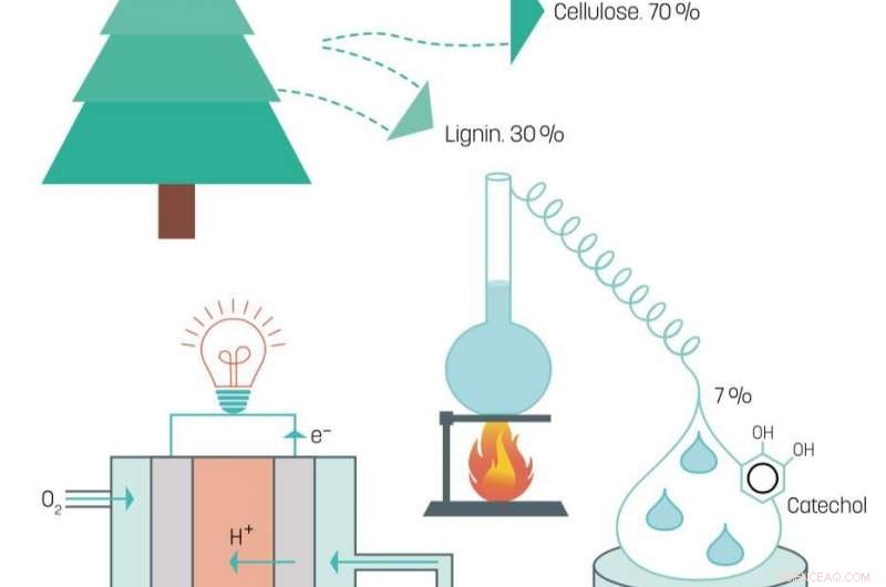 Lignin: A Sustainable Fuel Cell Power Source