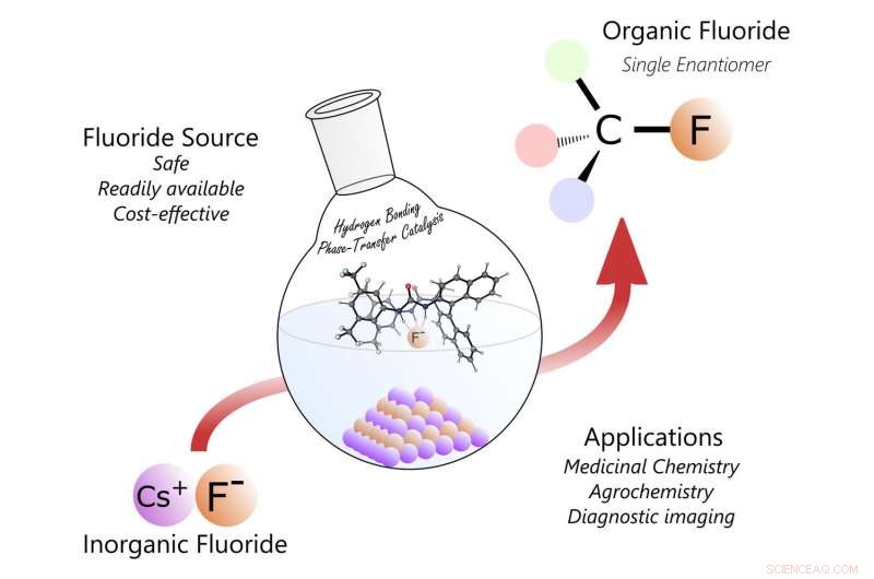 Innovative Fluorinated Molecule Enhances Drug Efficacy, Inspired by Nature s Toolbox