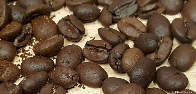 New Technique Detects Coffee Adulteration, Distinguishing Arabica from Robusta