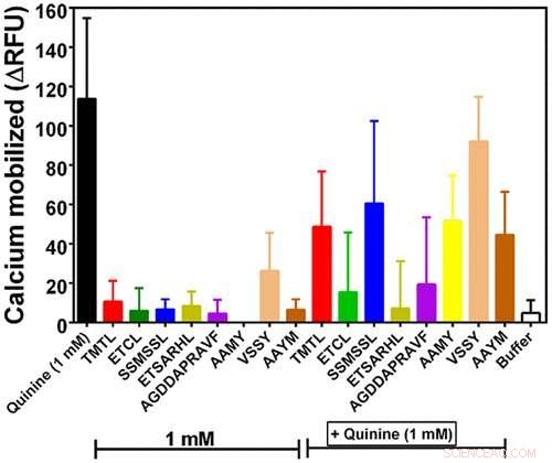 Beef Peptides Reduce Bitter Flavors: New ACS Study Reveals
