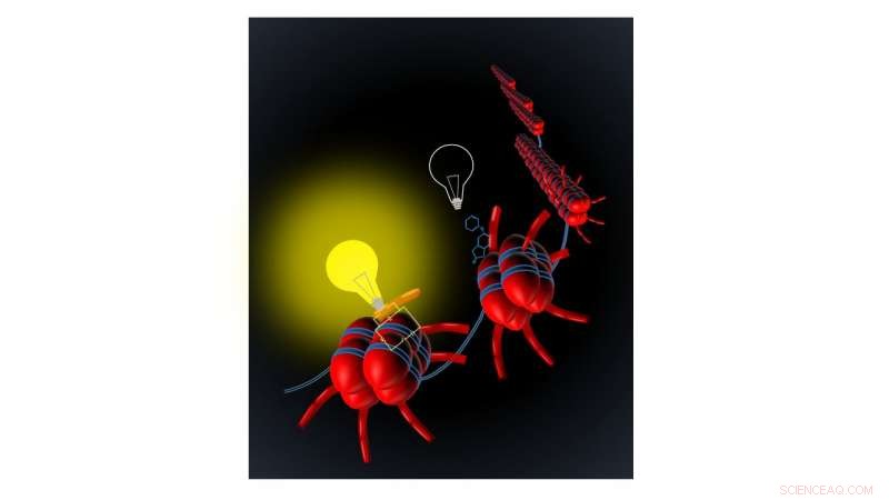 How TRIM24 Reads Histone Modifications: Reciprocal Modifications Drive Oncogenic Signaling