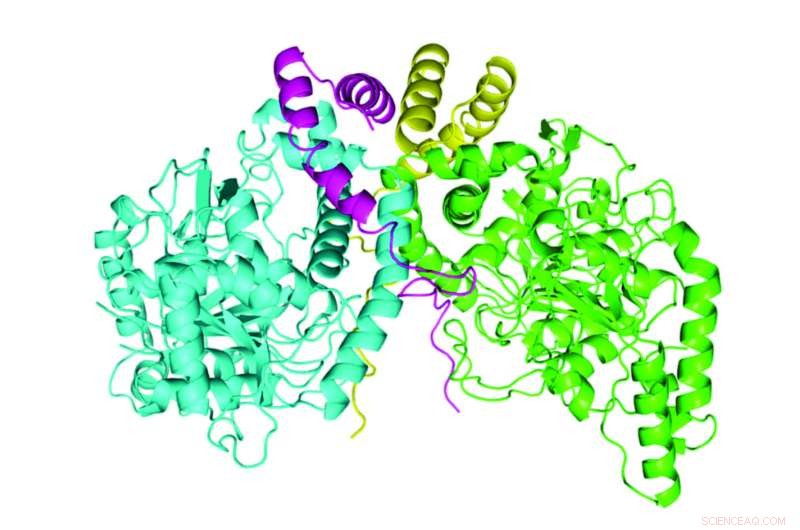 Harnessing Bacterial Mechanisms to Combat Atrazine Pollution