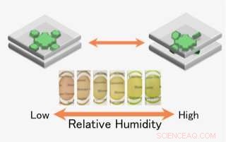 Eco‑Friendly Clay‑Mineral & Dye Films: Functional, Humidity‑Responsive Hybrid Materials