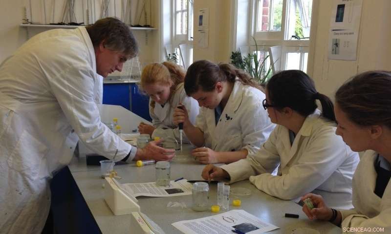 University of Kent Researchers Discover New Method to Boost Vitamin B12 in Plants