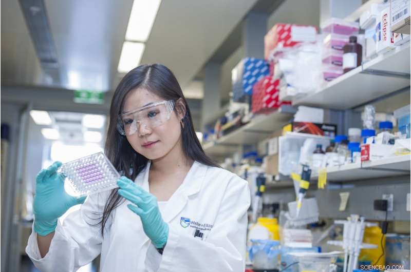 Unexpected Cell Death Discovery Illuminates Causes of Birth Defects