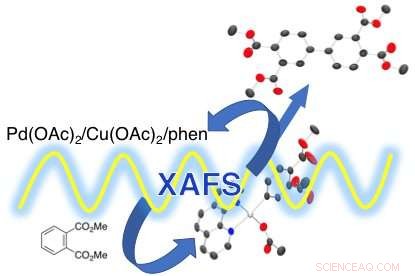 How Synchrotron Radiation Unveils the Formation Mechanism of Aromatic Polyimide Precursors