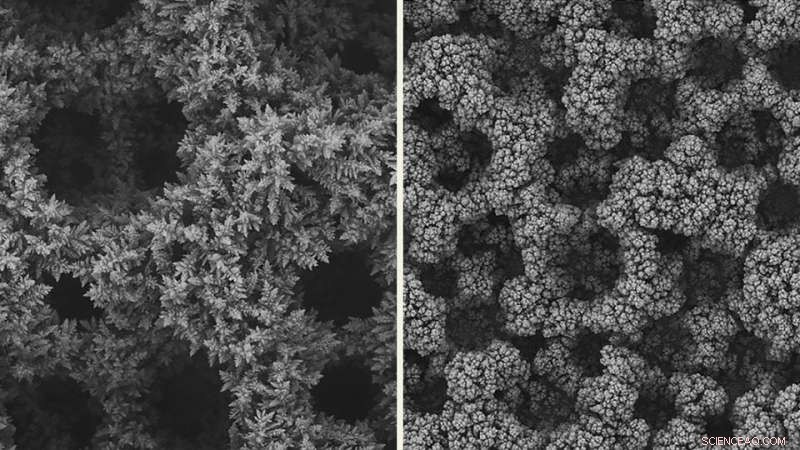 Revolutionary Technique Doubles CO2 Conversion into Plastic Components