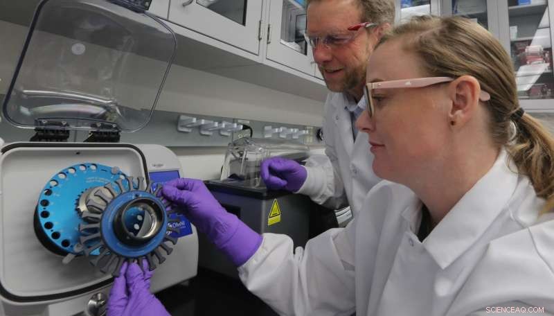 New Protein‑Based Bone Analysis Enhances Forensic Identification