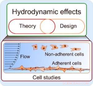 Hydrodynamics in Cell Studies: IBM & ETH Zurich Review