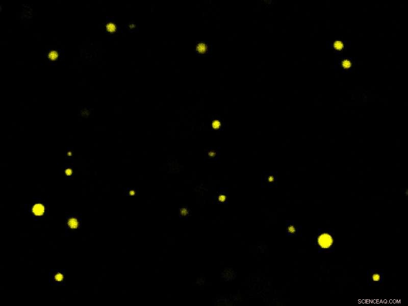 Phase Separation: A Key Mechanism That May Have Shaped the Origin of Life