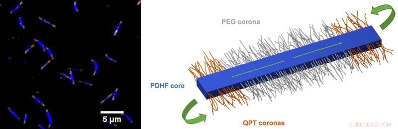 Polymer Crystals Enable Record-Breaking Energy Transport in Semiconductors