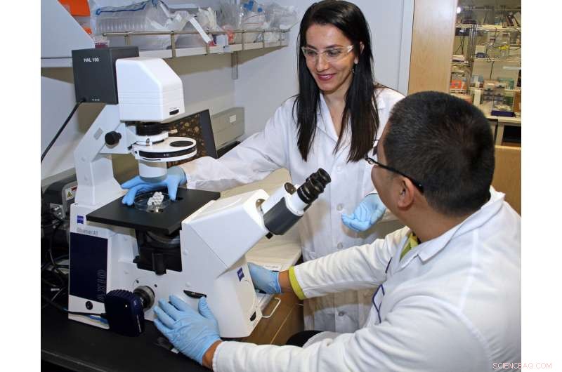 Origami-Inspired Technology Promises Breakthroughs in Tissue Regeneration