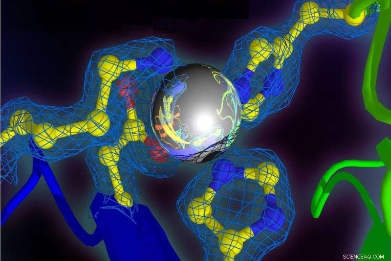 UVA Releases Comprehensive Guide to the Submicroscopic World Inside the Human Body