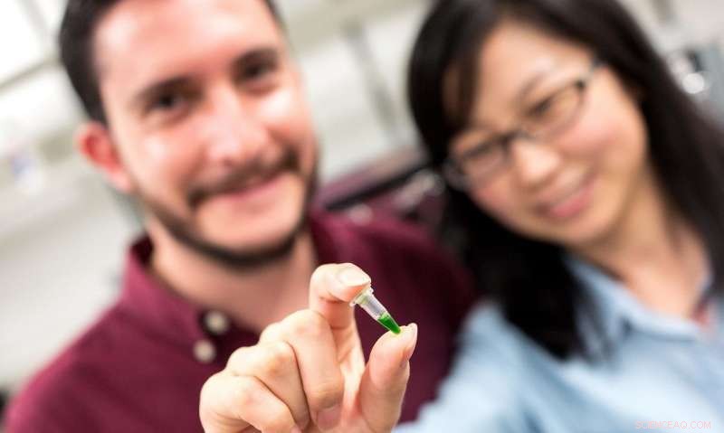 Why Bioelectrodes Fail in Energy Conversion: Key Scientific Findings