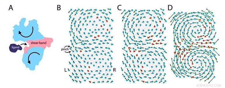 Building a Functional Molecular Machine: A Practical Coding Guide