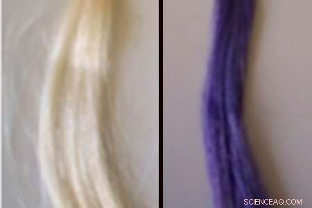 Blackcurrants: A Sustainable Solution to Eco-Friendly Hair Care