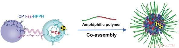 Multifunctional Nanoparticles Deliver Synergistic Drug Precursors for Targeted Tumor Therapy