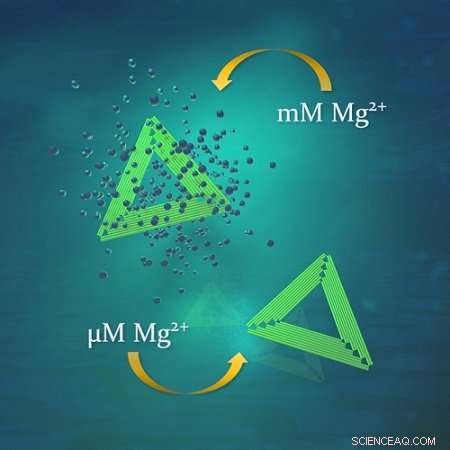 DNA Origami Demonstrates Greater Resilience Under Low Magnesium Conditions