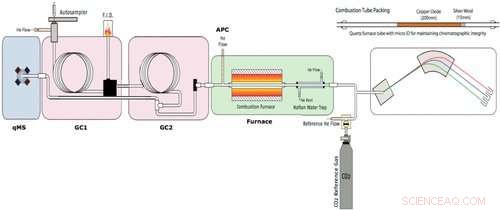 Authenticating Genuine Truffles: How to Spot the Real Deal