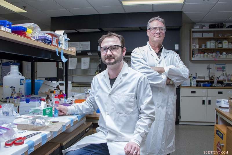 New Fix Identified to Mitigate Sample Damage in Synchrotron Experiments