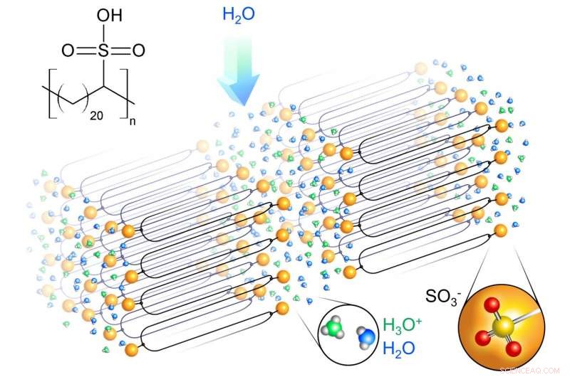 New Solid Polymer Electrolyte Promises Safer, Compact Batteries and Fuel Cells