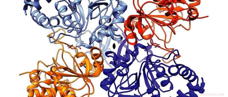 UBC Researchers Map Tuberculosis Enzyme at Atomic Level