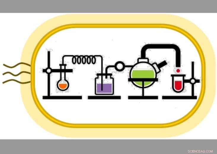Revolutionizing Drug Production with a Self‑Sustaining Chemical Reaction Loop