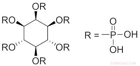 New Chemical Complex Accelerates Elimination of Radioactive Strontium from the Human Body
