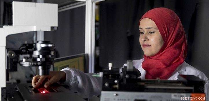 DNA Replication Unveiled: The FEN1 Enzyme’s Pivotal Role