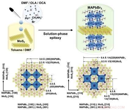 Innovative Solution‑Processing for High‑Performance 2‑D Heterostructures