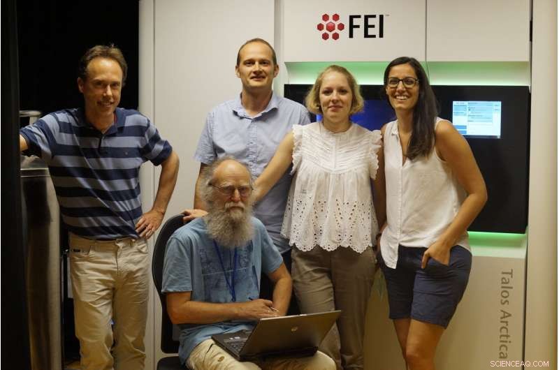 New Crystal Structure of Human ASCT2 Reveals Cancer-Linked Transporter Mechanism