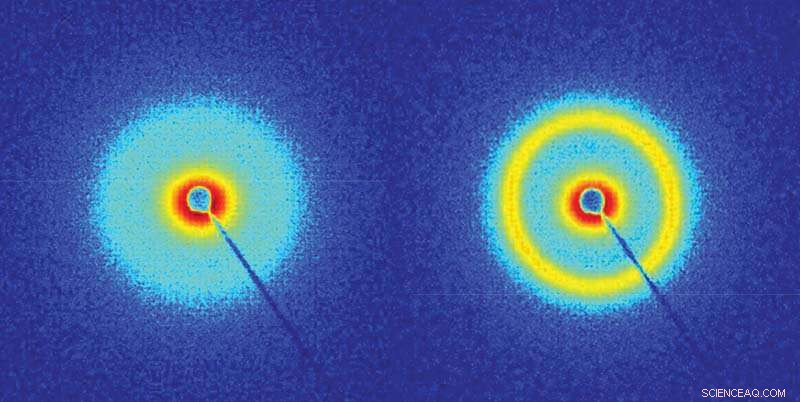 Revolutionary Process Turns Wood Scraps into Eco-Friendly Tape