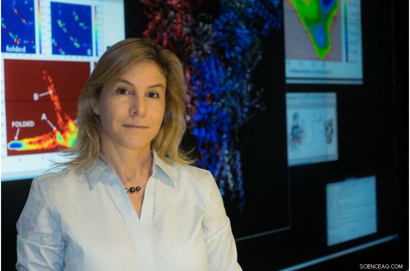 Simplified Protein Folding Model Enhances Accuracy