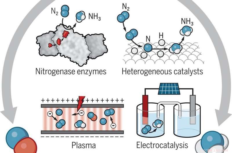 Greener Paths to Nitrogen Fixation: Sustainable & Innovative Solutions