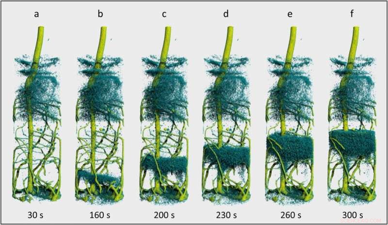 Neutron Tomography Reveals Hidden Details Inside Teeth, Root Balls, Batteries, and Fuel Cells