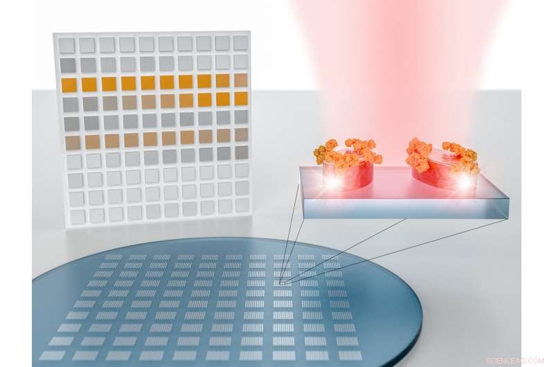 Nanotech Sensor Decodes Molecular Fingerprints into Barcodes