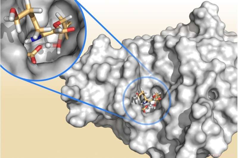 Forecasting the Human‑Bacterial Arms Race: Predicting Outcomes in Antibiotic Resistance