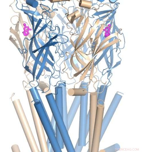 Revolutionizing Smoking Cessation: Novel Molecular Designs Target Nicotine Receptors